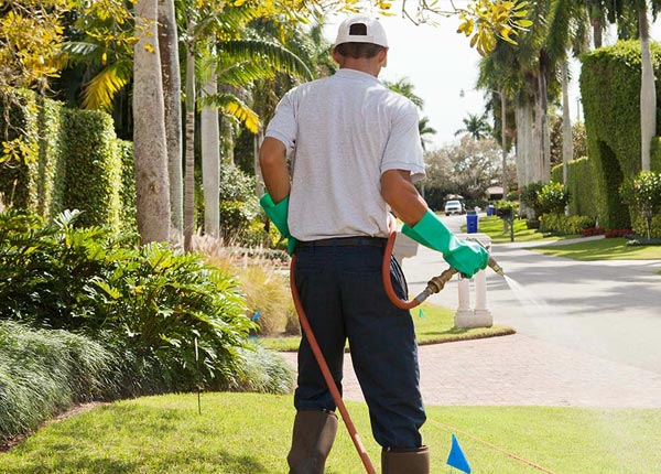 About Kelly WY Pest Control